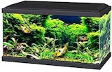10 Best Tropical Fish Tanks UK 2024 | Tetra, Aqua One and More 4