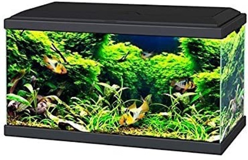 Black Aqua 60 LED Tropical Glass Aquarium 1