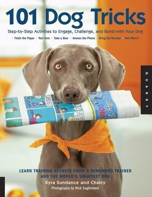 101 Dog Tricks 1