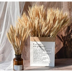Natural Dried Wheat Sheaves