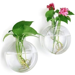 Wall Hanging Glass Terrarium