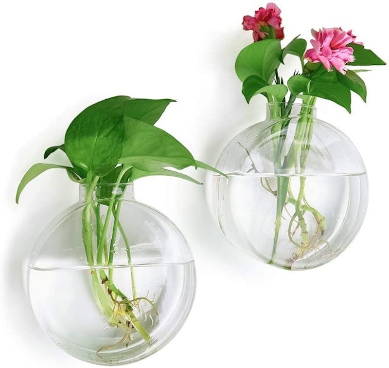 Wall Hanging Glass Terrarium 1