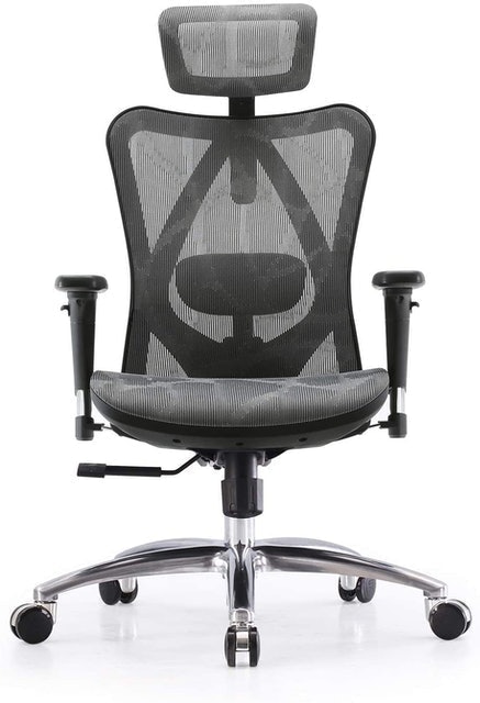 Ergonomic Office Chair 1