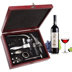 Stainless Steel Wine Corkscrew Set