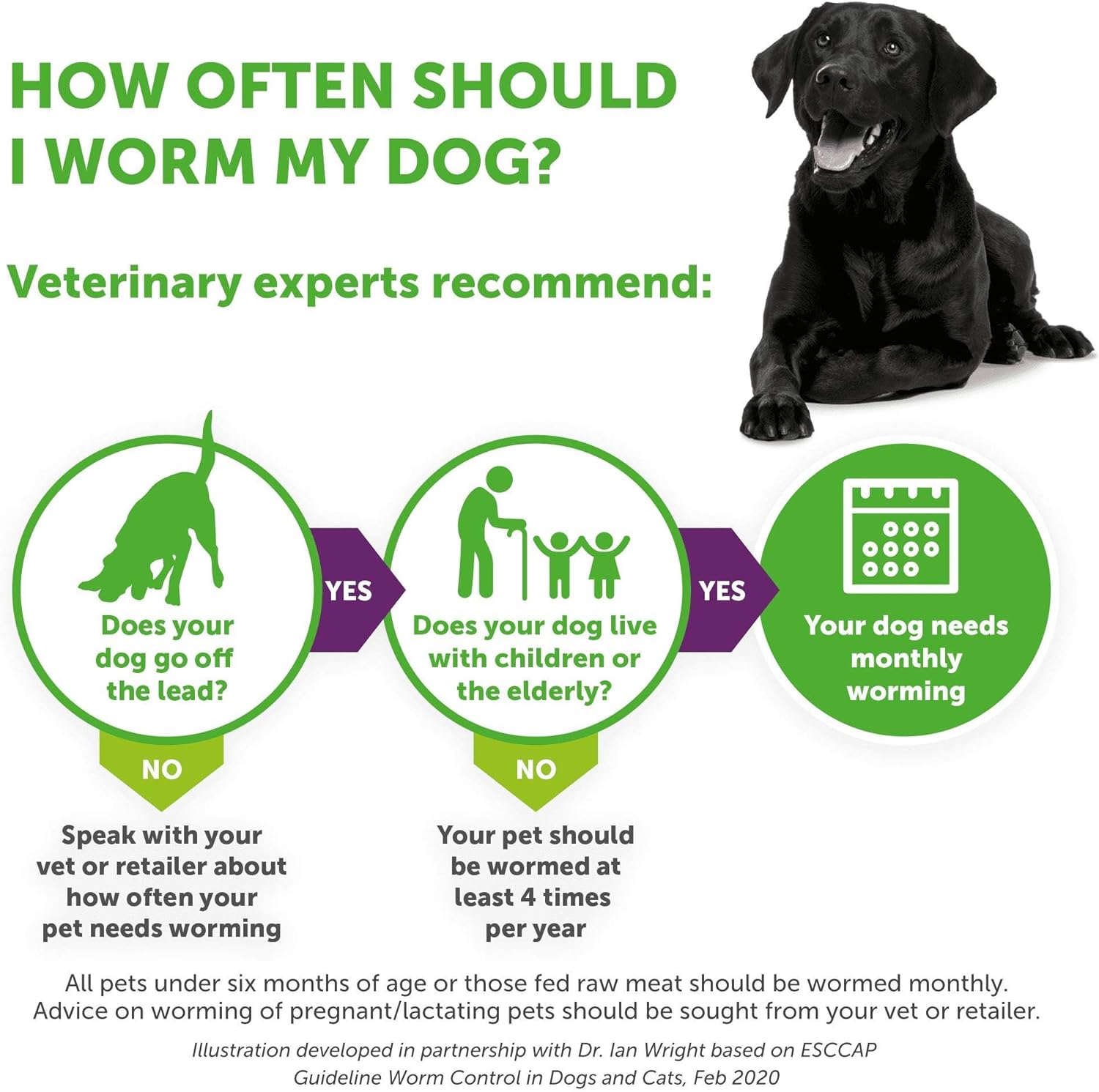 RS Pet Bayer Drontal Worming Tablet for Dogs 8