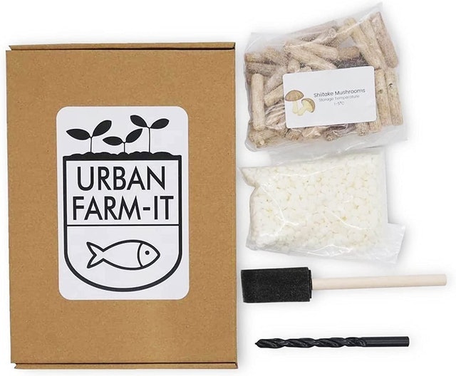 Shiitake Mushroom Log Growing Kit 1