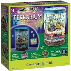 Grow 'N Glow Terrarium Kit