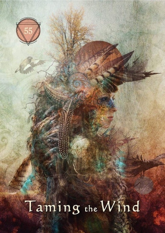 Mystical Shaman Oracle Deck and Guidebook 2