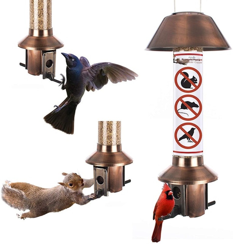 Squirrel Proof Wild Bird Feeder 1