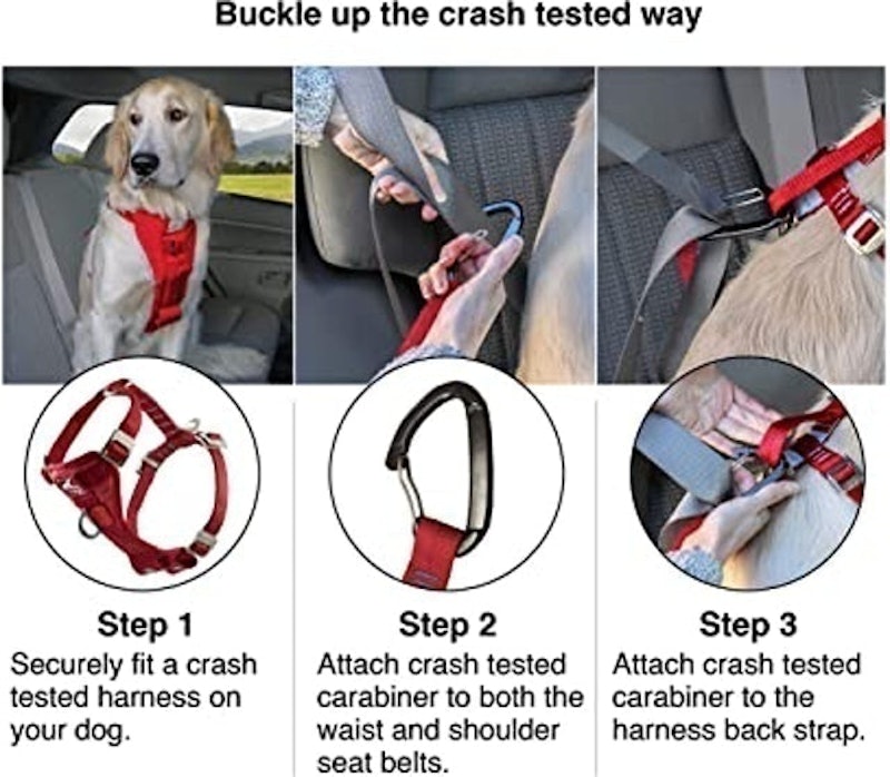 Car Harness 2