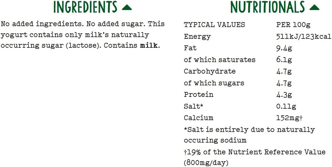 Organic Greek Style Yogurt 2