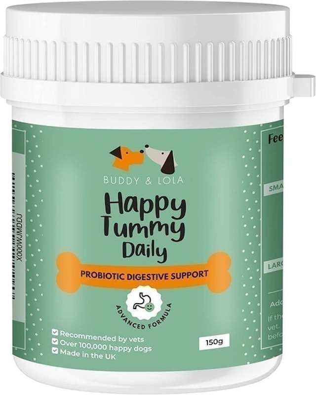 Probiotics For Dogs 1