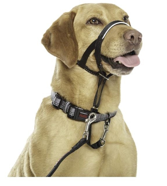 Halti Head Collar 1