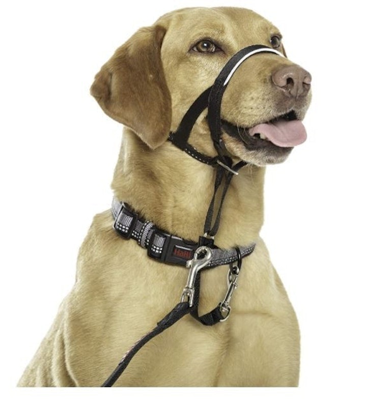 Halti Head Collar 1