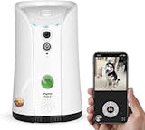 10 Best Pet Cameras 2024 | UK Filmmaker Reviewed 5