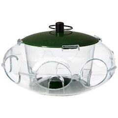 Bird Seed Feeder for Small Birds