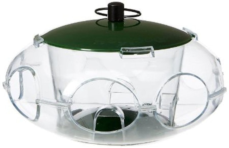 Bird Seed Feeder for Small Birds 1