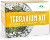 7 Best Terrarium Kits UK 2024 1