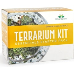 Terrarium Kit: Essentials Starter Pack