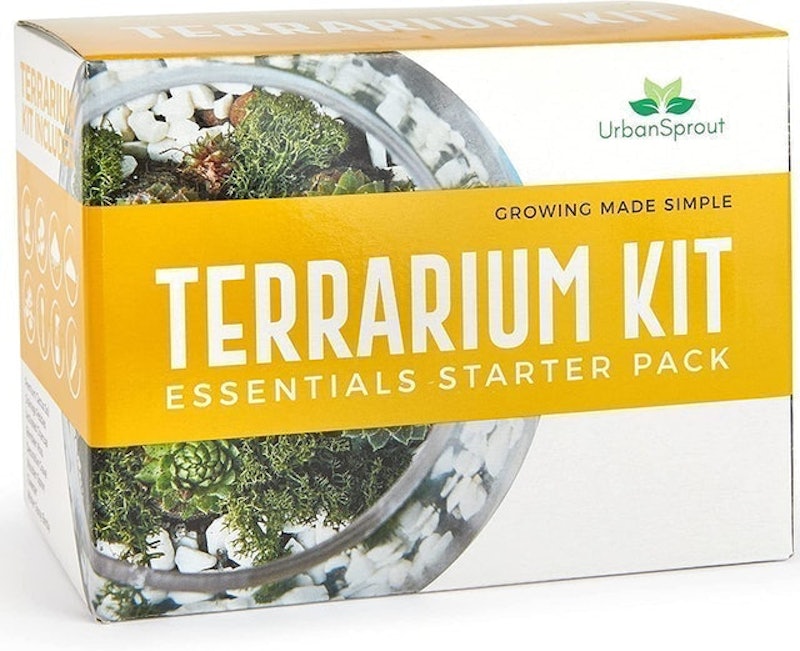 Terrarium Kit: Essentials Starter Pack 1