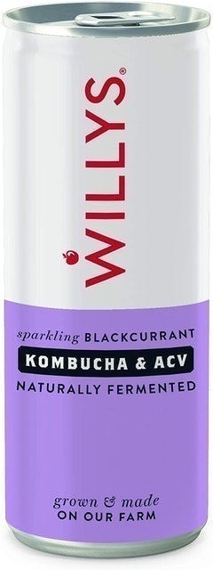 Blackcurrant Kombucha and ACV Drink 1