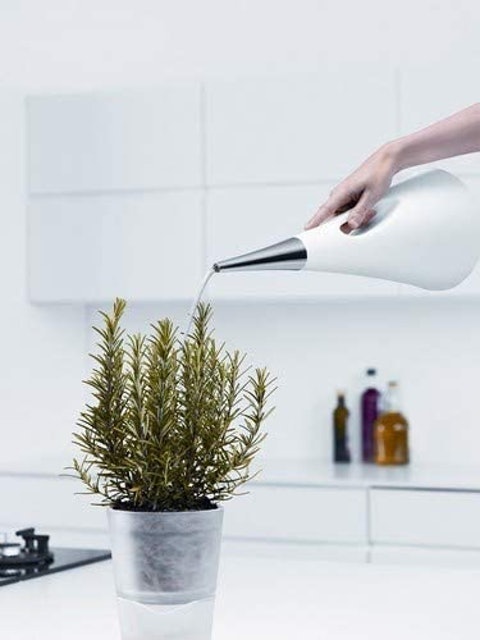Aquastar Watering Can 2