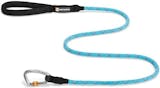 10 Best Dog Leashes 2024 | UK Veterinarian Reviewed 1
