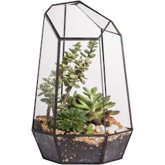 Glass Geometric Terrarium