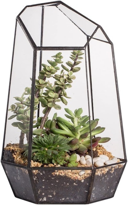 Glass Geometric Terrarium 1