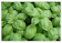 Premier Seeds Direct Herb Basil Genovese Finest Seed 1