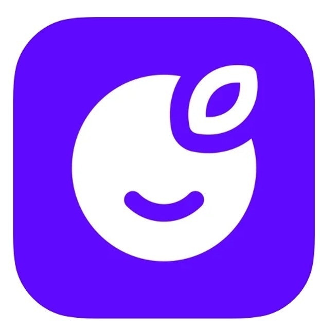 Plum 1