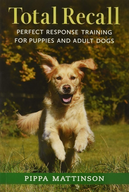 10 Best Dog Training Books UK 2024 | Graeme Hall, Pippa Mattinson and More 2