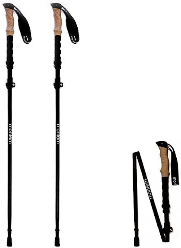 Folding Hiking Poles 1