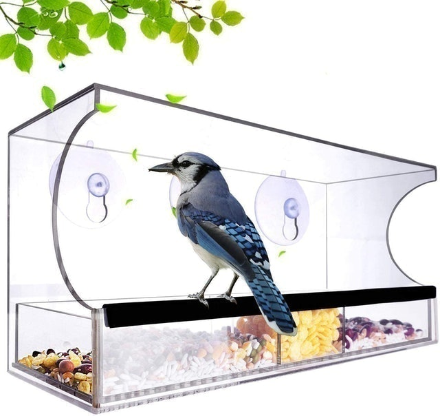 Acrylic Clear Window Bird Feeder  1
