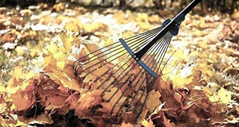 Telescopic Adjustable Rake 3