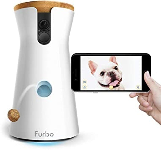 10 Best Pet Cameras 2024 | UK Filmmaker Reviewed 1