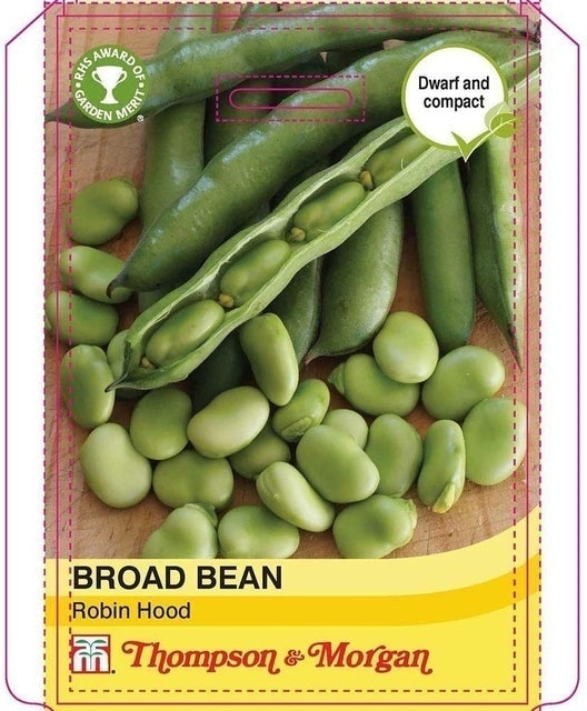 Broad Bean Seeds 1