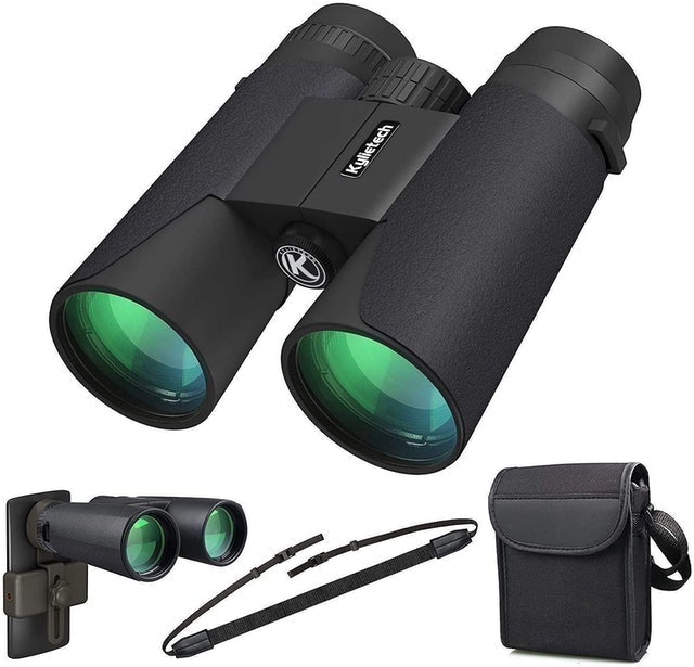 Best strength store binoculars for birdwatching