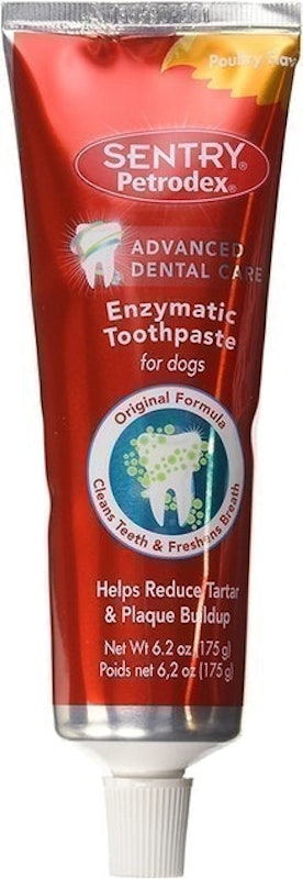 Enzymatic Toothpaste for Dogs 1
