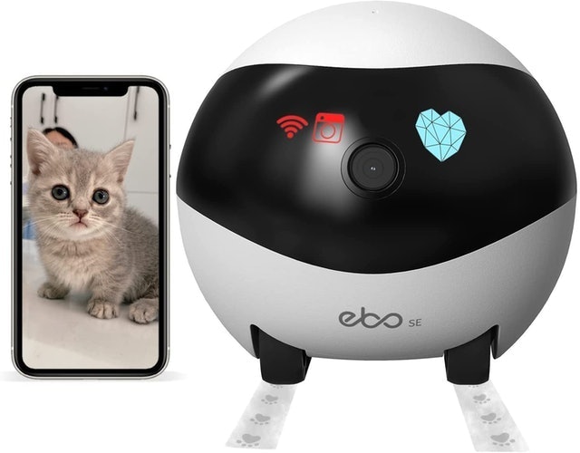 Moving Pet Camera 1