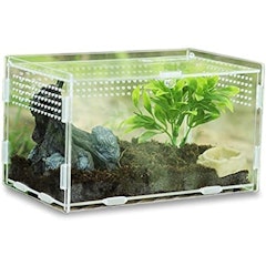 Terrarium Containers