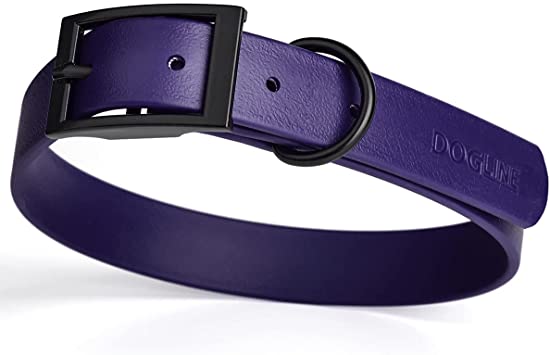 Top 10 Best Dog Collars 2024 | UK Veterinarian Reviewed 1