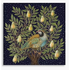 Partridge In A Pear Tree Advent Calendar Christmas Card
