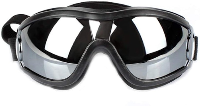 Pet Sunglasses 1