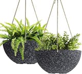 10 Best Outdoor Hanging Baskets UK 2024 | Kingfisher, Sass & Belle and More 3