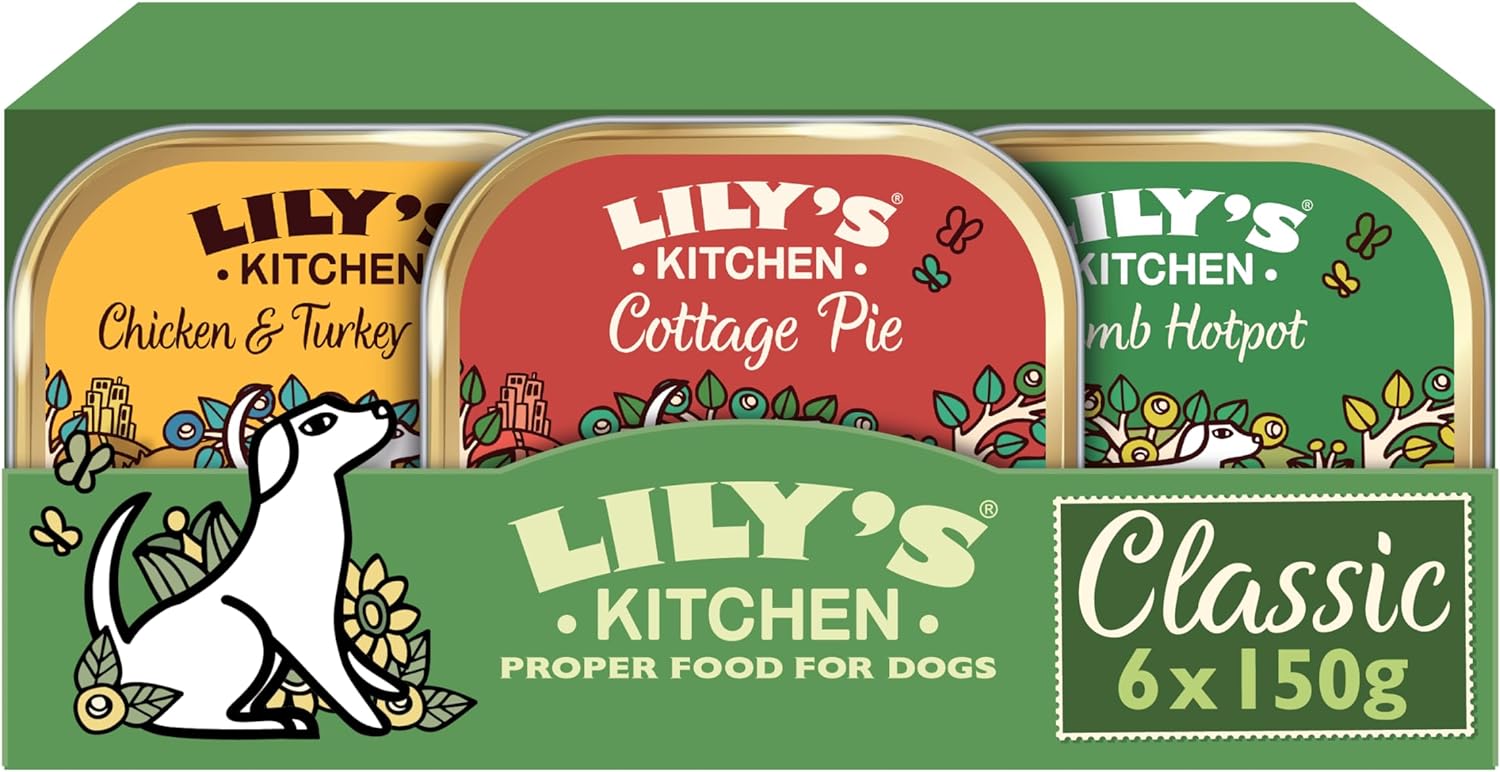 10 Best Healthy Dog Foods UK 2024 2