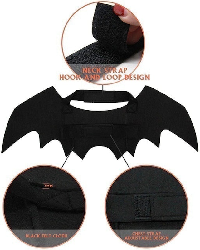Bat Wings Outfit Harness 2