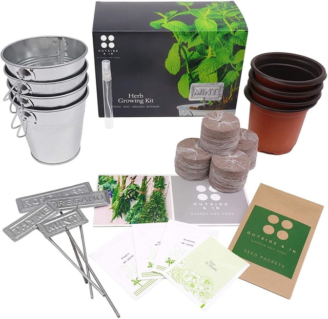 10 Best Indoor Herb Garden Kits UK 2024 | AeroGrow, Veritable and More 5