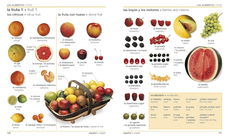 3. DK Visual Spanish-English Bilingual Dictionary 2