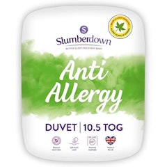 Anti-allergy Duvet